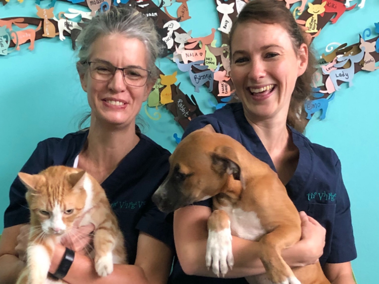 Atlantis CVC Principal Vet