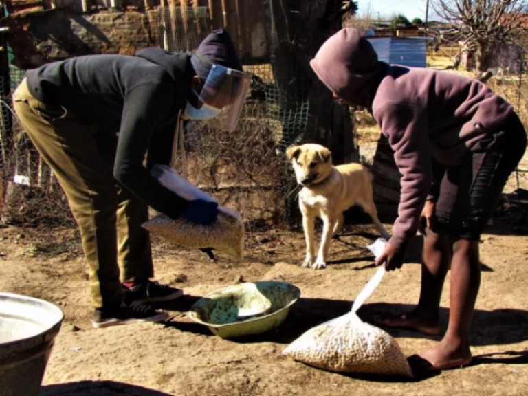 Cluny Animal Trust CVC Photo 1