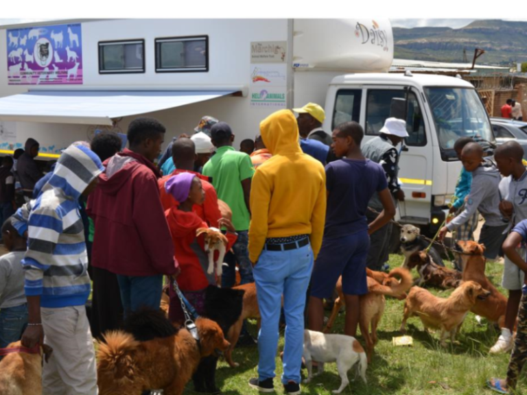 Cluny Animal Trust CVC Photo 2