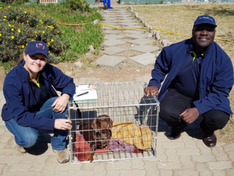 Gauteng CVC Principal Vet