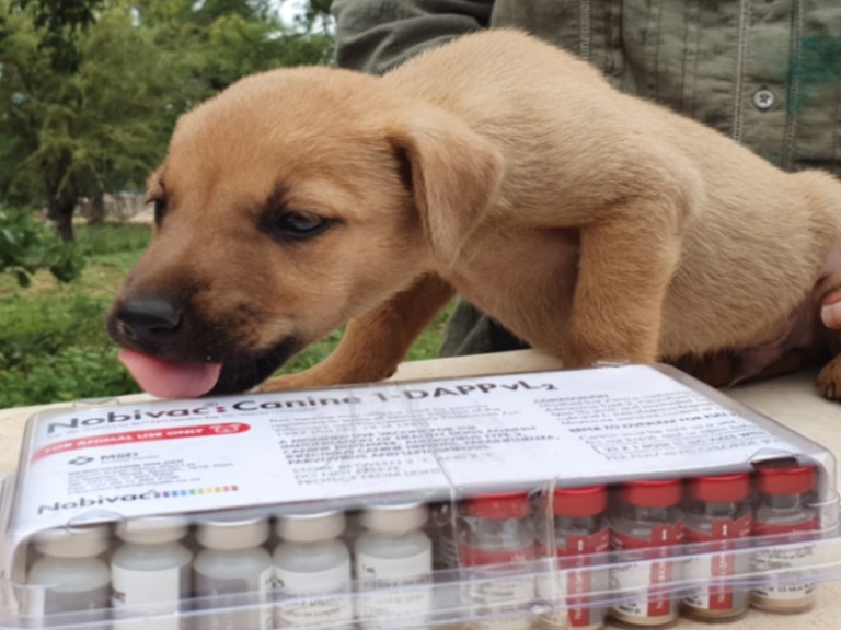 Hoedspruit CVC Photo 1