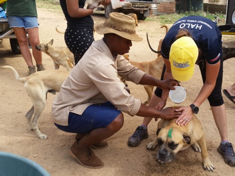 Hoedspruit CVC Photo 2