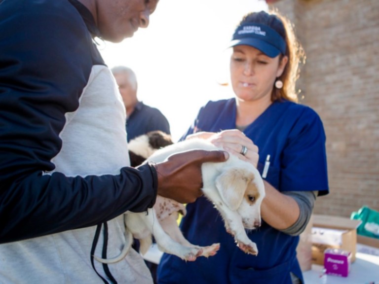 Kariega CVC Principal Vet