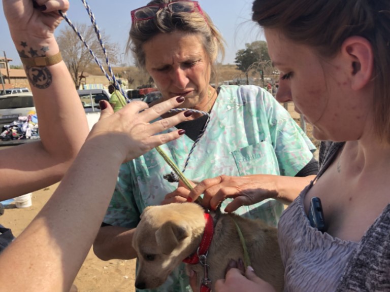 Kyasands CVC Principal Vet