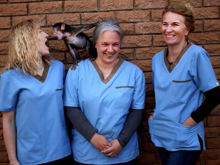 Johannesburg Wildlife Veterinary Hospital Principal Vet