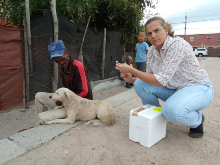 Elgin Valley CVC Principal Vet