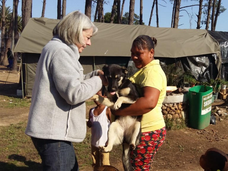 Envirovet CVC Photo 2