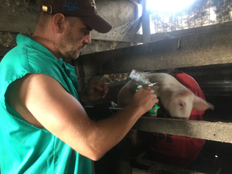 Farmlands Veterinary Practice CVC Photo 2