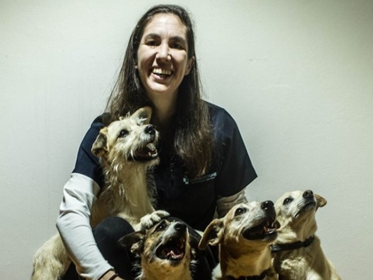 John Moore CVC Principal Vet