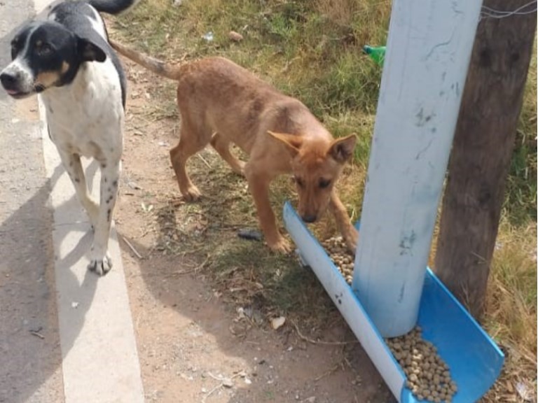 John Moore CVC Photo 2