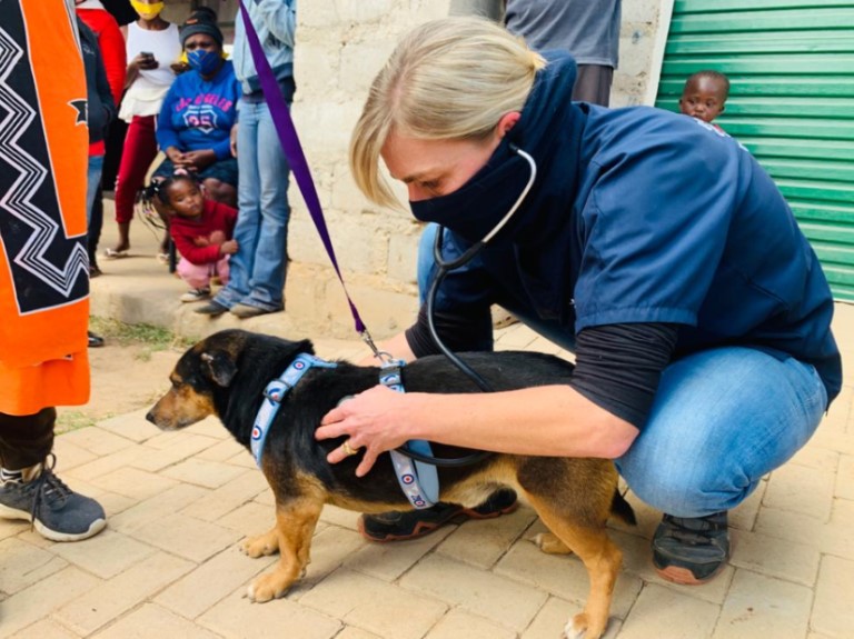 Lowveld Vet@Nsikazi Photo 1