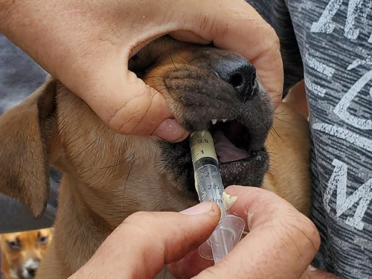 Sedgefield CVC Photo 2